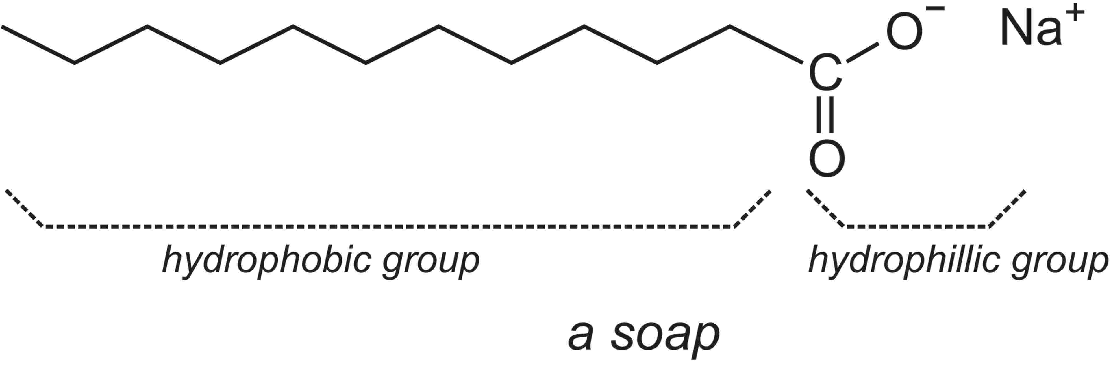 Image result for soap structure