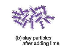 A sketch showing clay particles after lime has been added and the amount of water around them has been reduced.  The particles are no longer able to slide easily and the soil has been strengthened.