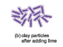 显示添加石灰后粘土颗粒的草图，并且它们周围的水量已减少。 颗粒不再能够轻松滑动，土壤得到加强。