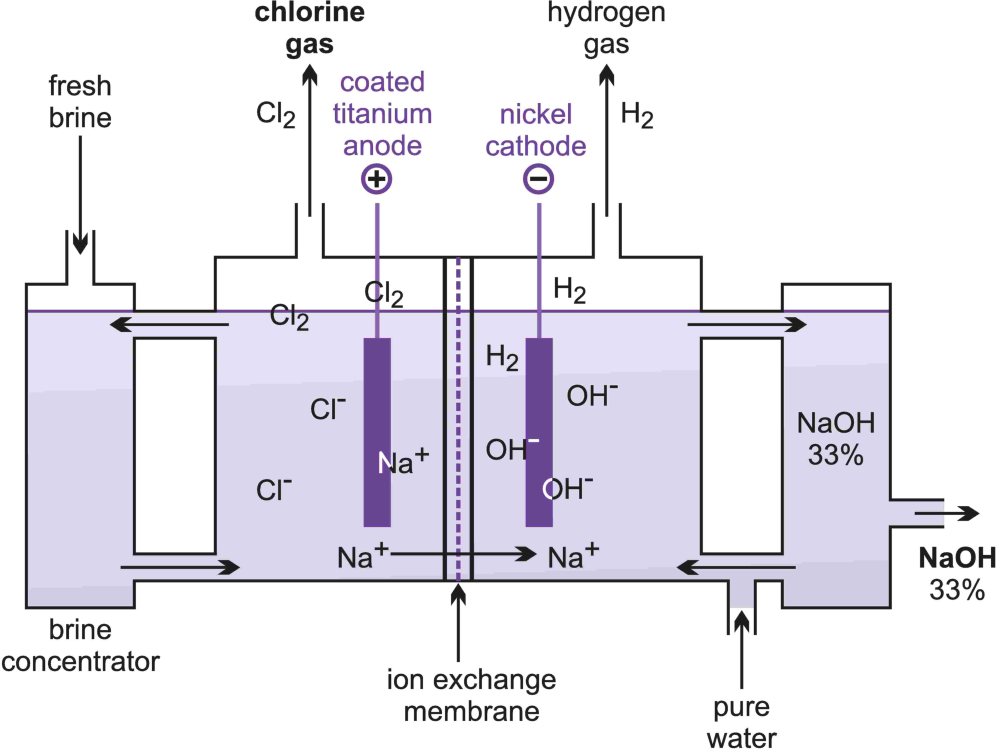 A diagram illustrating the membrane cell