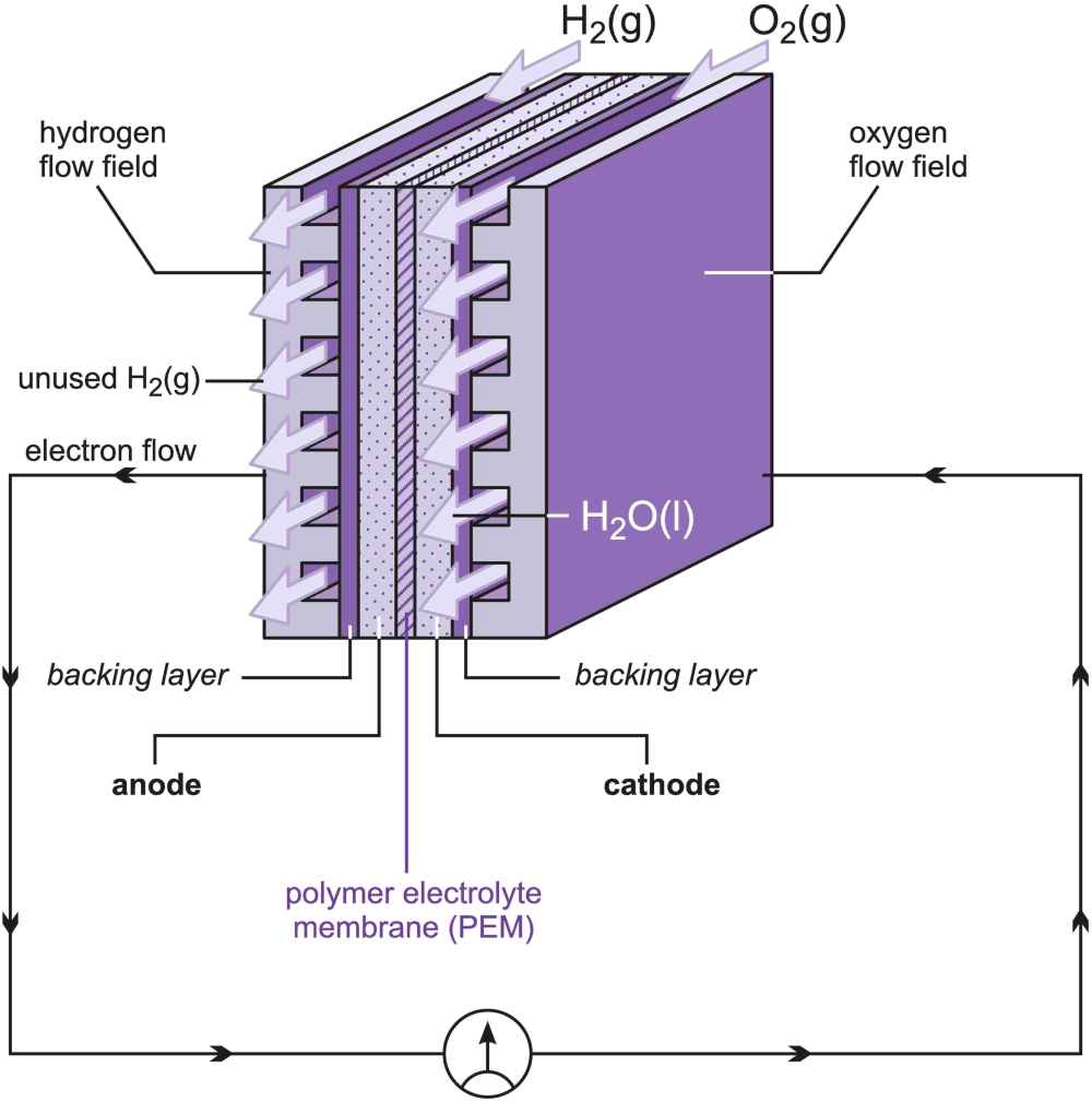 A diagram illustrating the structure of a membrane cell for the production of hydrogen from water